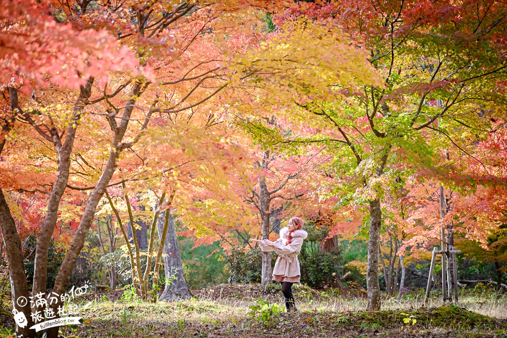 福島景點【塔崖】福島楓葉秘境,走吊橋.看塔型石岩.拜菩薩.感受百年溪流斷崖的震撼!
