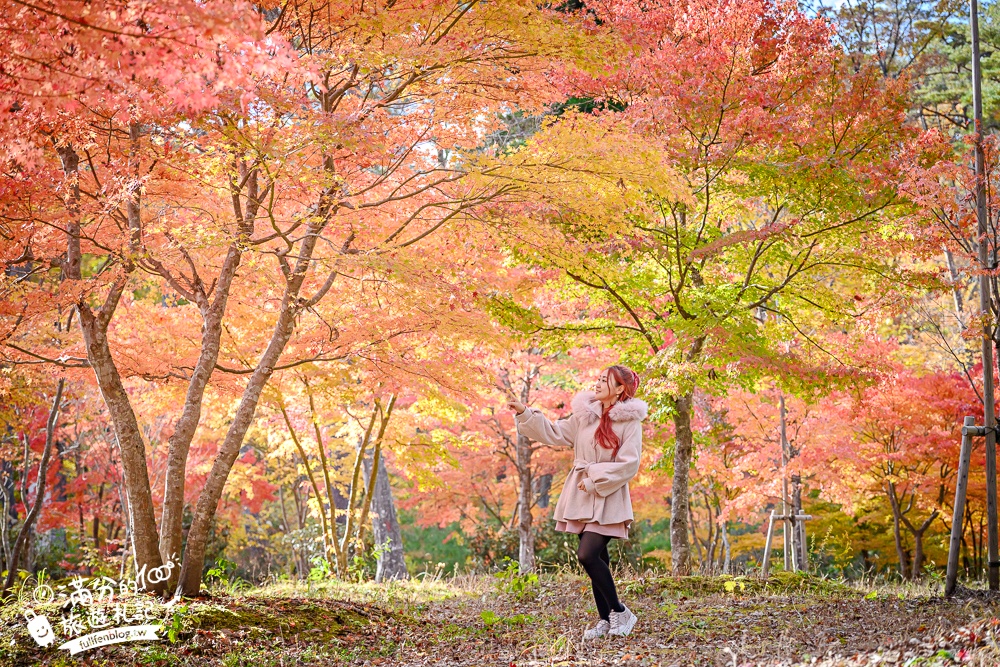 福島景點【塔崖】福島楓葉秘境,走吊橋.看塔型石岩.拜菩薩.感受百年溪流斷崖的震撼!