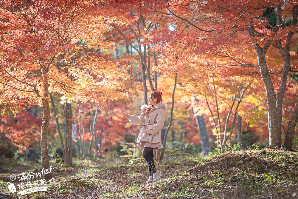 福島景點【塔崖】福島楓葉秘境,走吊橋.看塔型石岩.拜菩薩.感受百年溪流斷崖的震撼!