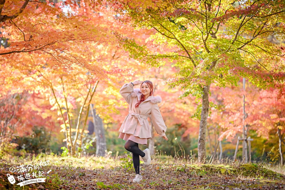 福島景點【塔崖】福島楓葉秘境,走吊橋.看塔型石岩.拜菩薩.感受百年溪流斷崖的震撼!