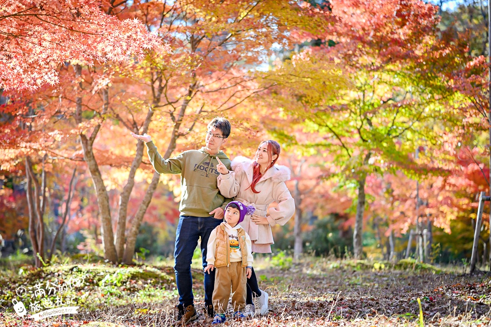 福島景點【塔崖】福島楓葉秘境,走吊橋.看塔型石岩.拜菩薩.感受百年溪流斷崖的震撼!