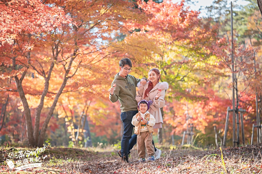 福島景點【塔崖】福島楓葉秘境,走吊橋.看塔型石岩.拜菩薩.感受百年溪流斷崖的震撼!