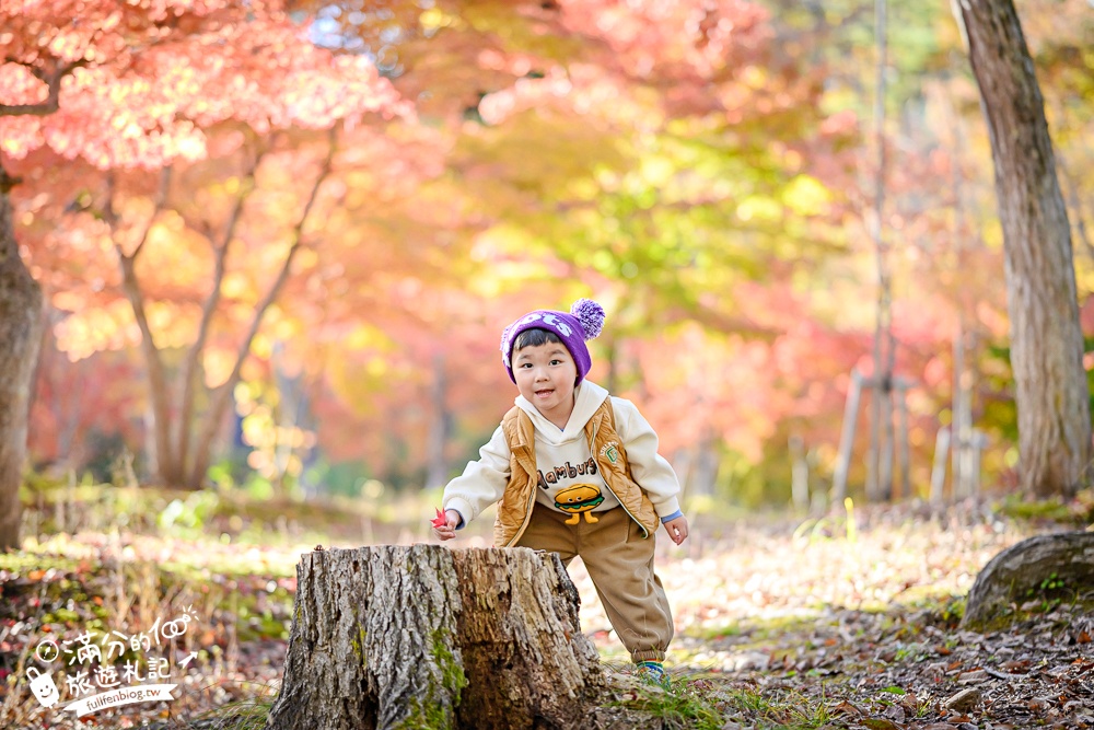 福島景點【塔崖】福島楓葉秘境,走吊橋.看塔型石岩.拜菩薩.感受百年溪流斷崖的震撼!