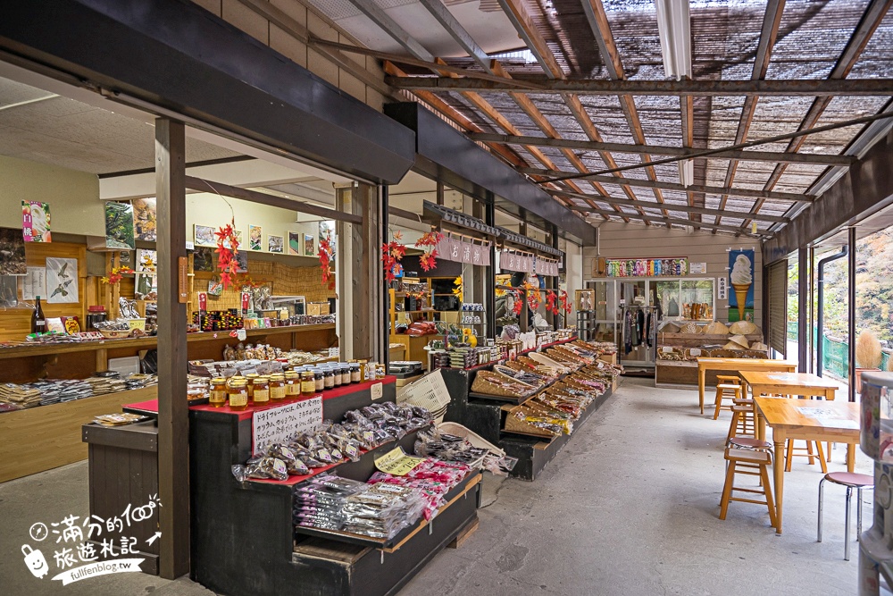 福島景點【塔崖】福島楓葉秘境,走吊橋.看塔型石岩.拜菩薩.感受百年溪流斷崖的震撼!