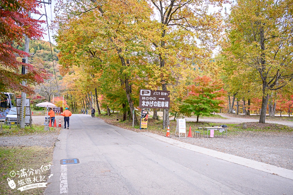 福島景點【塔崖】福島楓葉秘境,走吊橋.看塔型石岩.拜菩薩.感受百年溪流斷崖的震撼!
