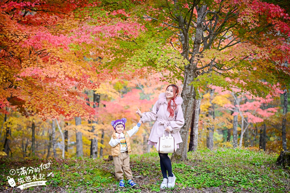 福島景點【塔崖】福島楓葉秘境,走吊橋.看塔型石岩.拜菩薩.感受百年溪流斷崖的震撼!