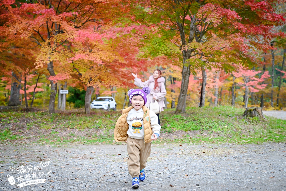 福島景點【塔崖】福島楓葉秘境,走吊橋.看塔型石岩.拜菩薩.感受百年溪流斷崖的震撼!