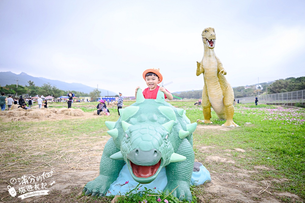【2025銅鑼杭菊生活節】苗栗下起11月雪.白雪花海＆金色花毯雙色齊放.肥滾小圓花數大之美好壯觀!
