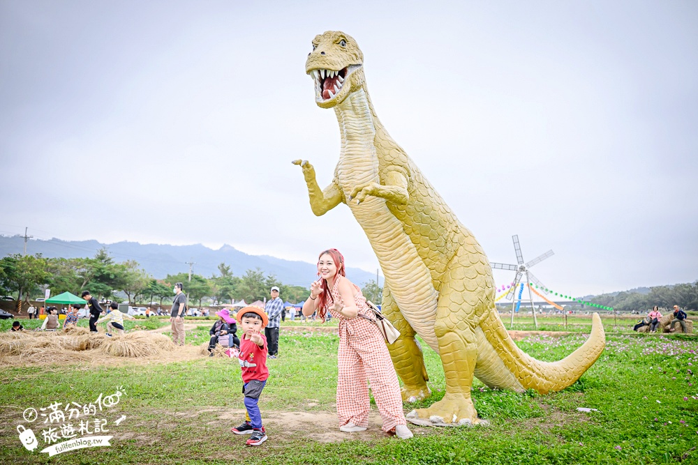 【2025銅鑼杭菊生活節】苗栗下起11月雪.白雪花海＆金色花毯雙色齊放.肥滾小圓花數大之美好壯觀!