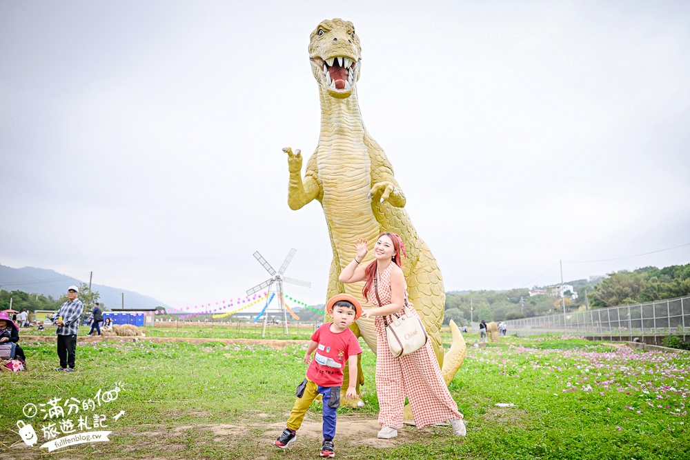 【2025銅鑼杭菊生活節】苗栗下起11月雪.白雪花海＆金色花毯雙色齊放.肥滾小圓花數大之美好壯觀!