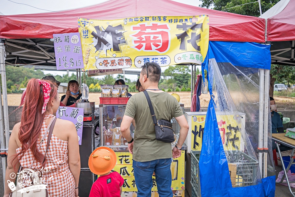 【2025銅鑼杭菊生活節】苗栗下起11月雪.白雪花海＆金色花毯雙色齊放.肥滾小圓花數大之美好壯觀!