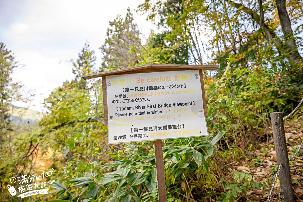 【福島第一只見線鐵橋觀景台】交通方式&火車通行時刻表.鐵道迷必朝聖的仙境美景,日本鐵道景色天花板!