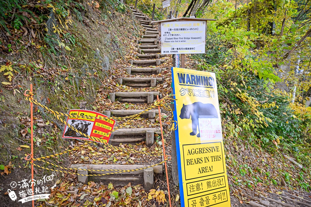 【福島第一只見線鐵橋觀景台】交通方式&火車通行時刻表.鐵道迷必朝聖的仙境美景,日本鐵道景色天花板!
