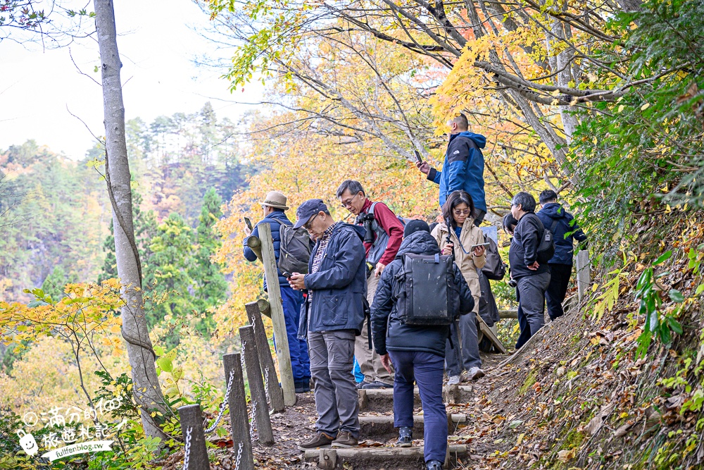 【福島第一只見線鐵橋觀景台】交通方式&火車通行時刻表.鐵道迷必朝聖的仙境美景,日本鐵道景色天花板!