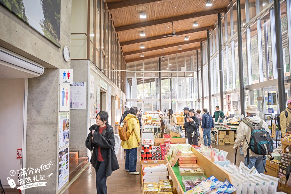 【福島第一只見線鐵橋觀景台】交通方式&火車通行時刻表.鐵道迷必朝聖的仙境美景,日本鐵道景色天花板!