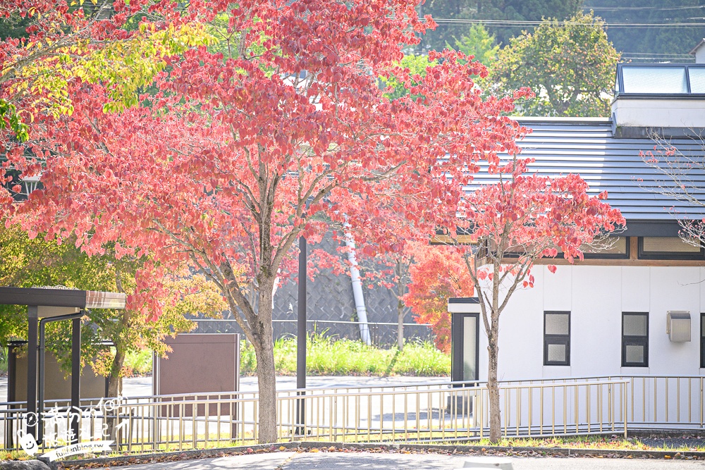 【福島吉利蛋公園】會津若松親子景點.古錐寶可夢主題滑梯.順遊清柳苑物產館&柳津町役場巨無霸紅牛超好拍!