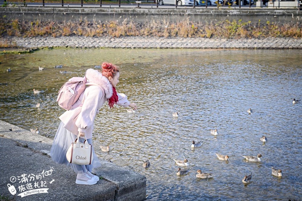 【猪苗代観光船】福島最美天鵝湖.美麗天鵝船＆烏龜造型海上咖啡館.餵小鴨看磐梯山.療癒山水風光超迷人!