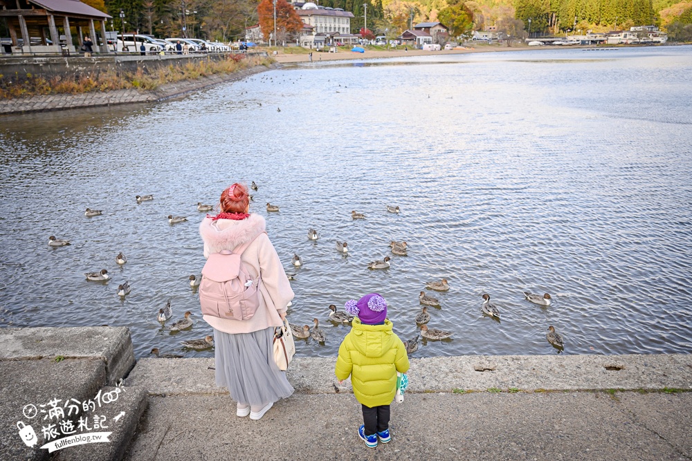 【猪苗代観光船】福島最美天鵝湖.美麗天鵝船＆烏龜造型海上咖啡館.餵小鴨看磐梯山.療癒山水風光超迷人!