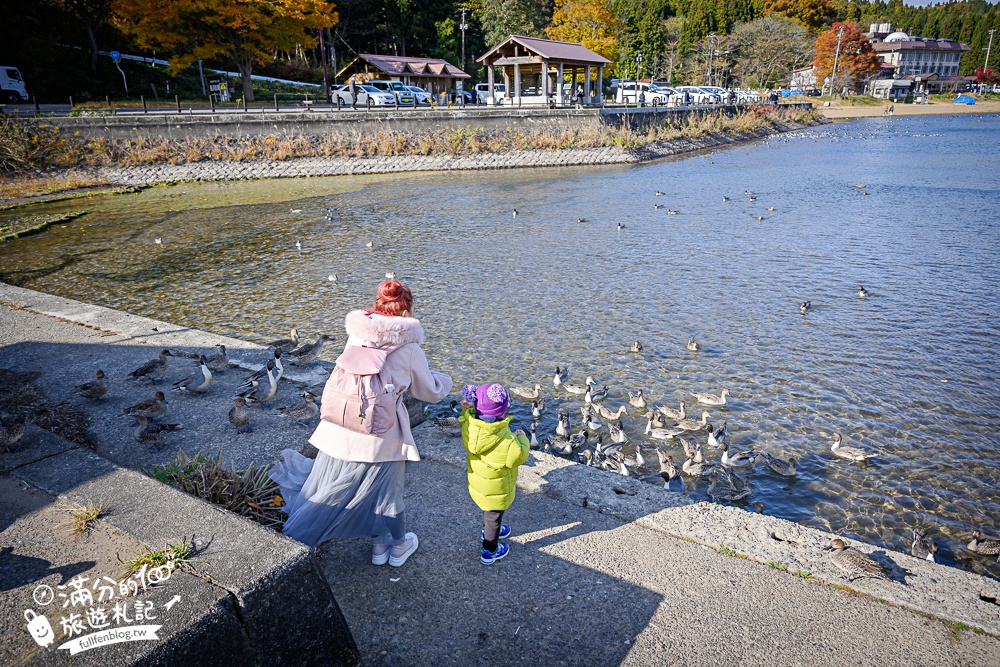 【猪苗代観光船】福島最美天鵝湖.美麗天鵝船＆烏龜造型海上咖啡館.餵小鴨看磐梯山.療癒山水風光超迷人!