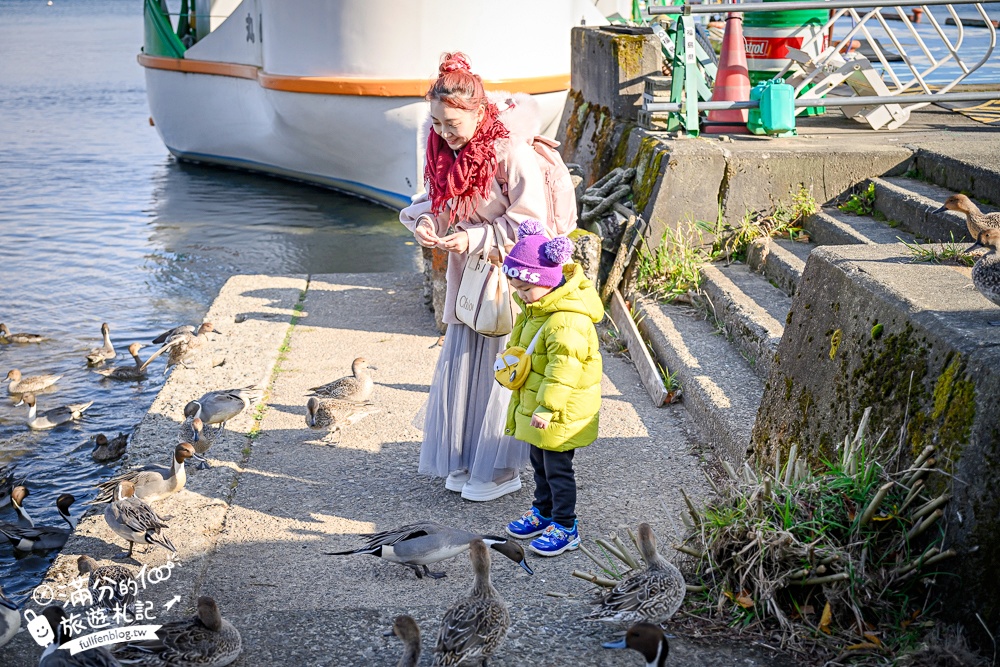 【猪苗代観光船】福島最美天鵝湖.美麗天鵝船＆烏龜造型海上咖啡館.餵小鴨看磐梯山.療癒山水風光超迷人!