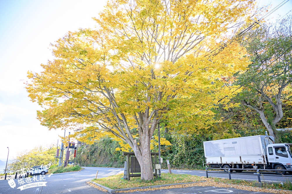 【猪苗代観光船】福島最美天鵝湖.美麗天鵝船＆烏龜造型海上咖啡館.餵小鴨看磐梯山.療癒山水風光超迷人!
