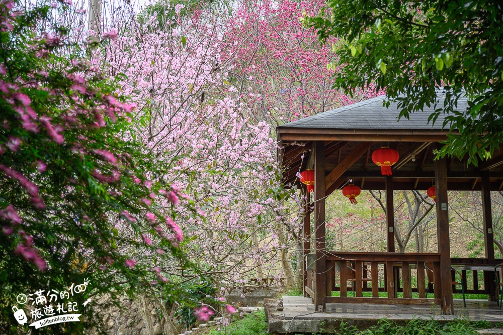 【2025新社景點一日遊】TOP15個台中新社景點推薦,森林農場.親子景點,新社人氣美食住宿推薦!