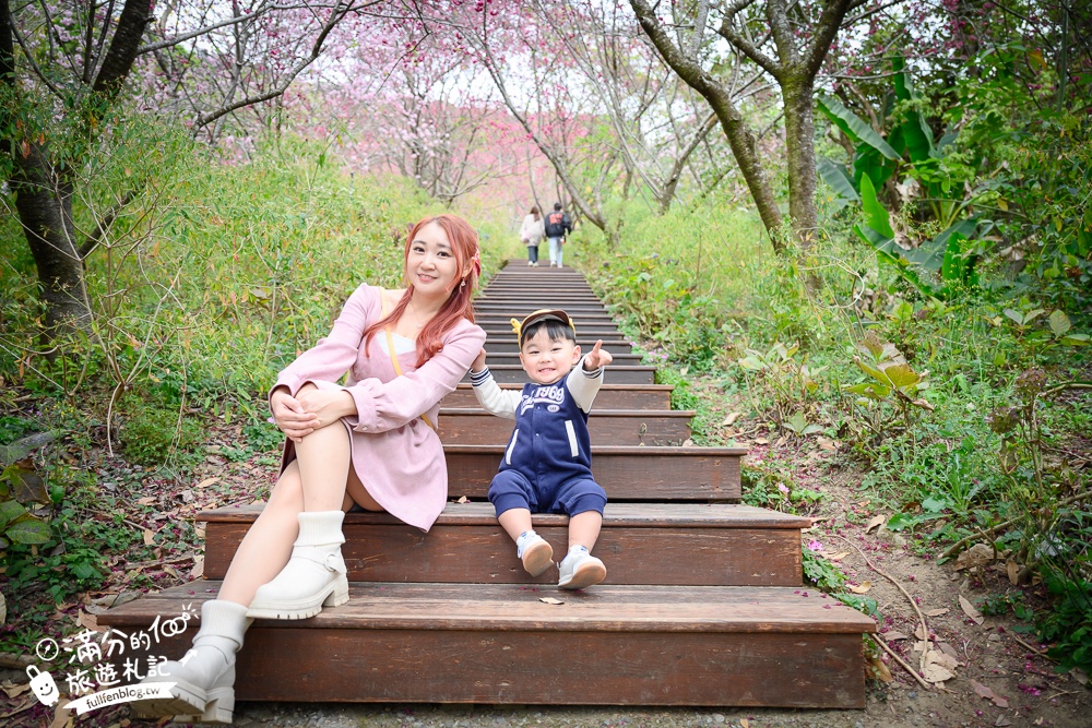 【2025新社景點一日遊】TOP15個台中新社景點推薦,森林農場.親子景點,新社人氣美食住宿推薦!