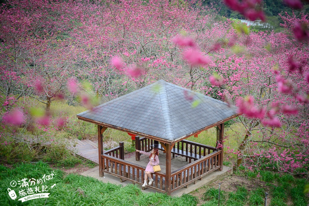 【2025新社景點一日遊】TOP15個台中新社景點推薦,森林農場.親子景點,新社人氣美食住宿推薦!