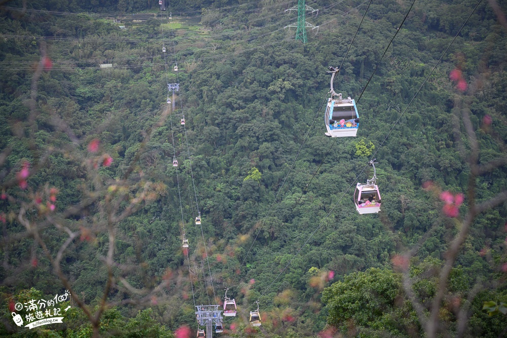 【2025貓空景點一日遊】TOP8個台北貓空景點推薦.搭貓空纜車.貓空景觀茶館.動物園.在地小吃,親子同遊順遊路線攻略! 【2025貓空景點一日遊】TOP8個台北貓空景點推薦.搭貓空纜車.貓空景觀茶館.動物園.在地小吃,親子同遊順遊路線攻略!