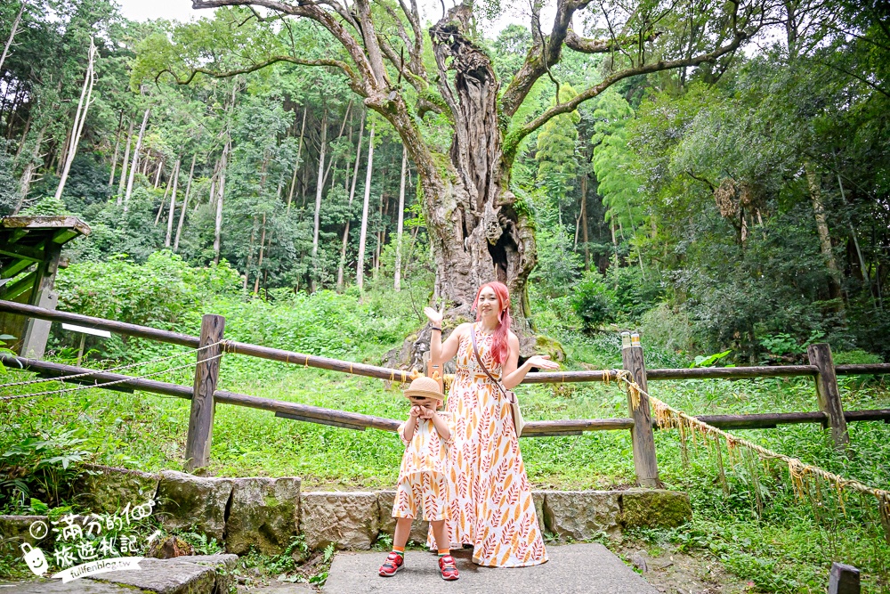 【九州佐賀武雄景點一日遊】TOP10個武雄景點推薦.泡武雄溫泉.吃佐賀牛便當.拍歷史塔樓.最美圖書館和歐風城堡陶瓷公園!