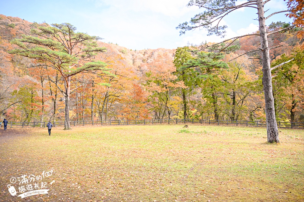 日本東北【鳴子峽】宮城賞楓景點推薦.走峽谷.賞紅楓.看奇岩.觀瀑布.必拍大深沢橋壯闊的拱橋景觀!