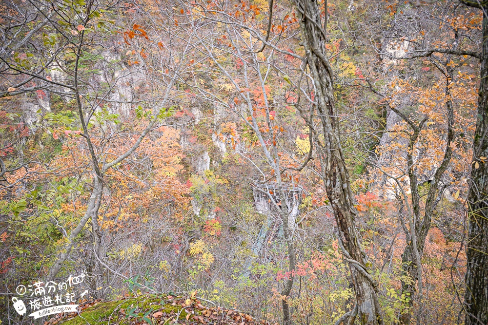 日本東北【鳴子峽】宮城賞楓景點推薦.走峽谷.賞紅楓.看奇岩.觀瀑布.必拍大深沢橋壯闊的拱橋景觀!