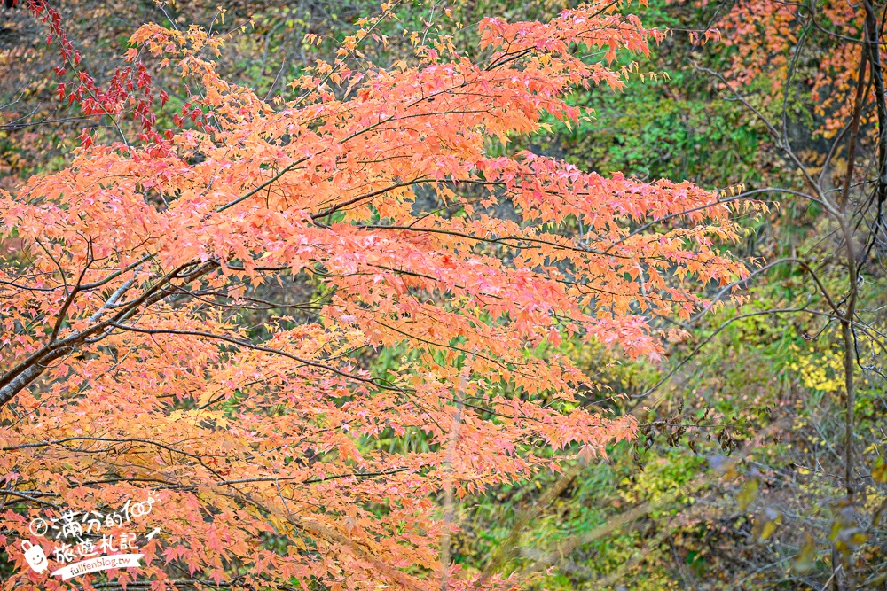 日本東北【鳴子峽】宮城賞楓景點推薦.走峽谷.賞紅楓.看奇岩.觀瀑布.必拍大深沢橋壯闊的拱橋景觀!