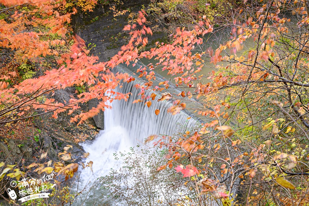 日本東北【鳴子峽】宮城賞楓景點推薦.走峽谷.賞紅楓.看奇岩.觀瀑布.必拍大深沢橋壯闊的拱橋景觀!