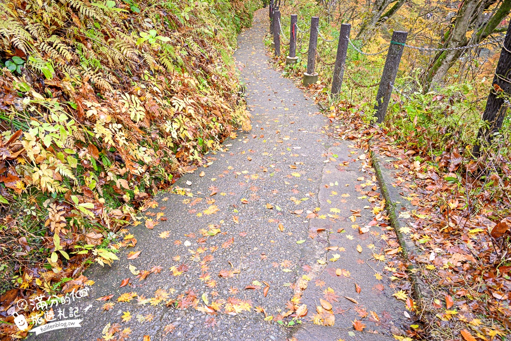 日本東北【鳴子峽】宮城賞楓景點推薦.走峽谷.賞紅楓.看奇岩.觀瀑布.必拍大深沢橋壯闊的拱橋景觀!
