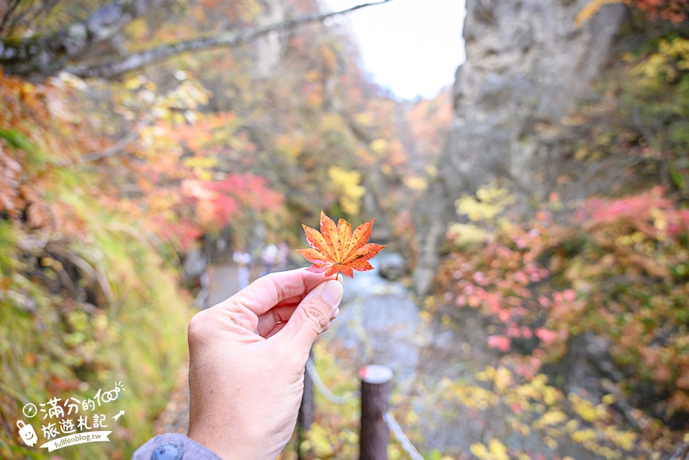 日本東北【鳴子峽】宮城賞楓景點推薦.走峽谷.賞紅楓.看奇岩.觀瀑布.必拍大深沢橋壯闊的拱橋景觀!