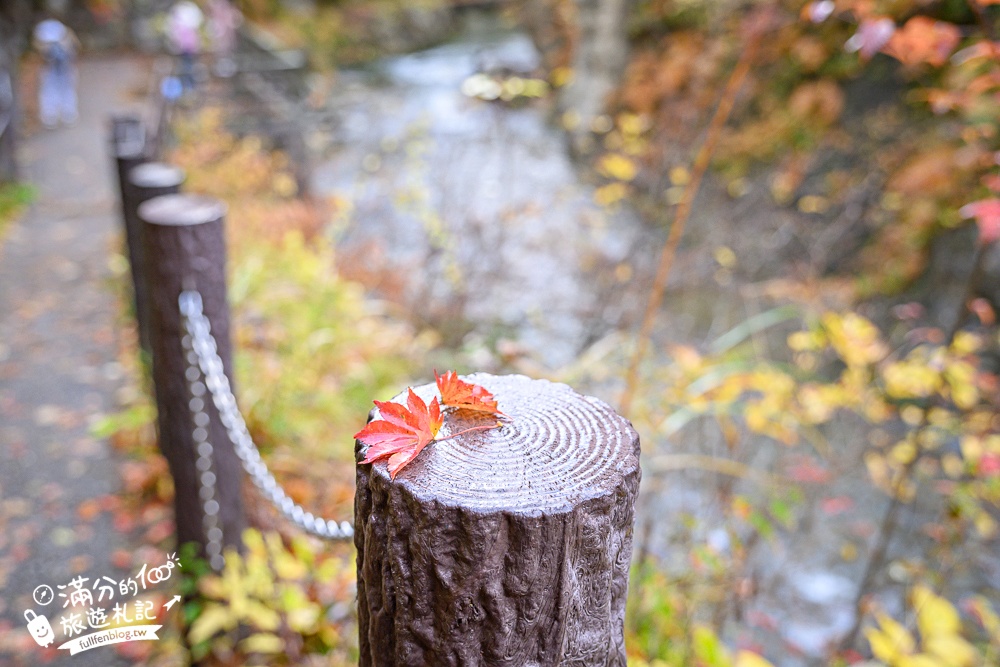 日本東北【鳴子峽】宮城賞楓景點推薦.走峽谷.賞紅楓.看奇岩.觀瀑布.必拍大深沢橋壯闊的拱橋景觀!