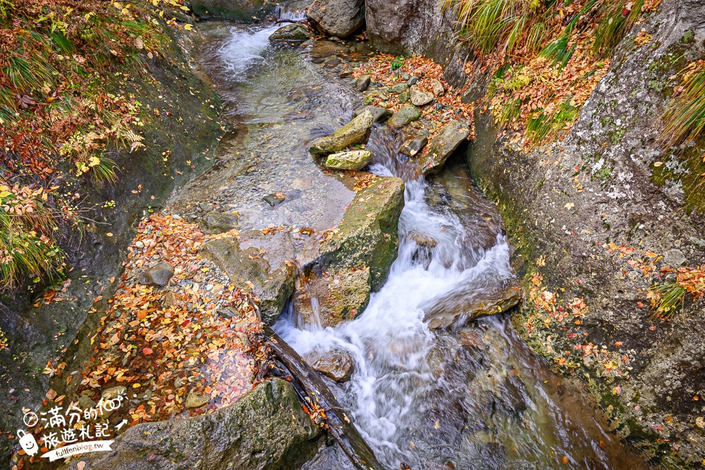 日本東北【鳴子峽】宮城賞楓景點推薦.走峽谷.賞紅楓.看奇岩.觀瀑布.必拍大深沢橋壯闊的拱橋景觀!