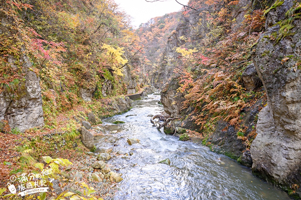 日本東北【鳴子峽】宮城賞楓景點推薦.走峽谷.賞紅楓.看奇岩.觀瀑布.必拍大深沢橋壯闊的拱橋景觀!