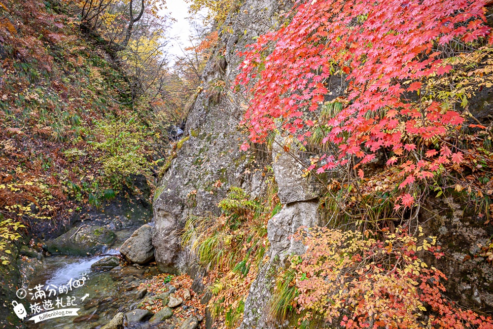 日本東北【鳴子峽】宮城賞楓景點推薦.走峽谷.賞紅楓.看奇岩.觀瀑布.必拍大深沢橋壯闊的拱橋景觀!