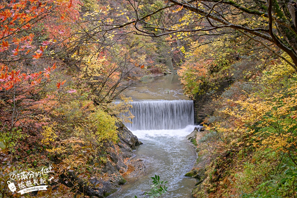 日本東北【鳴子峽】宮城賞楓景點推薦.走峽谷.賞紅楓.看奇岩.觀瀑布.必拍大深沢橋壯闊的拱橋景觀!