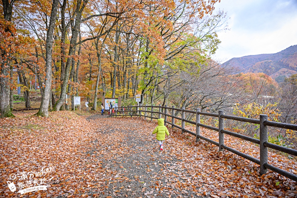 日本東北【鳴子峽】宮城賞楓景點推薦.走峽谷.賞紅楓.看奇岩.觀瀑布.必拍大深沢橋壯闊的拱橋景觀!