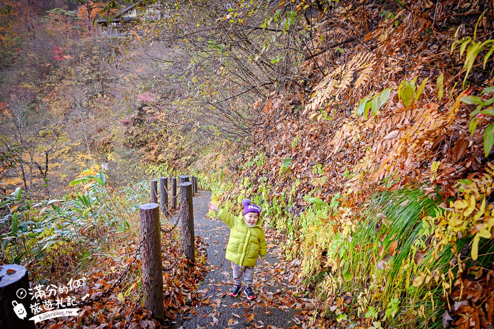 日本東北【鳴子峽】宮城賞楓景點推薦.走峽谷.賞紅楓.看奇岩.觀瀑布.必拍大深沢橋壯闊的拱橋景觀!