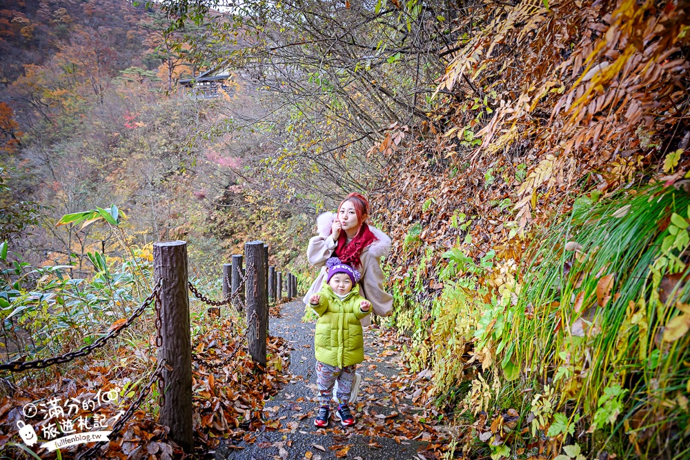 日本東北【鳴子峽】宮城賞楓景點推薦.走峽谷.賞紅楓.看奇岩.觀瀑布.必拍大深沢橋壯闊的拱橋景觀!