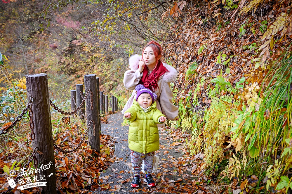 日本東北【鳴子峽】宮城賞楓景點推薦.走峽谷.賞紅楓.看奇岩.觀瀑布.必拍大深沢橋壯闊的拱橋景觀!