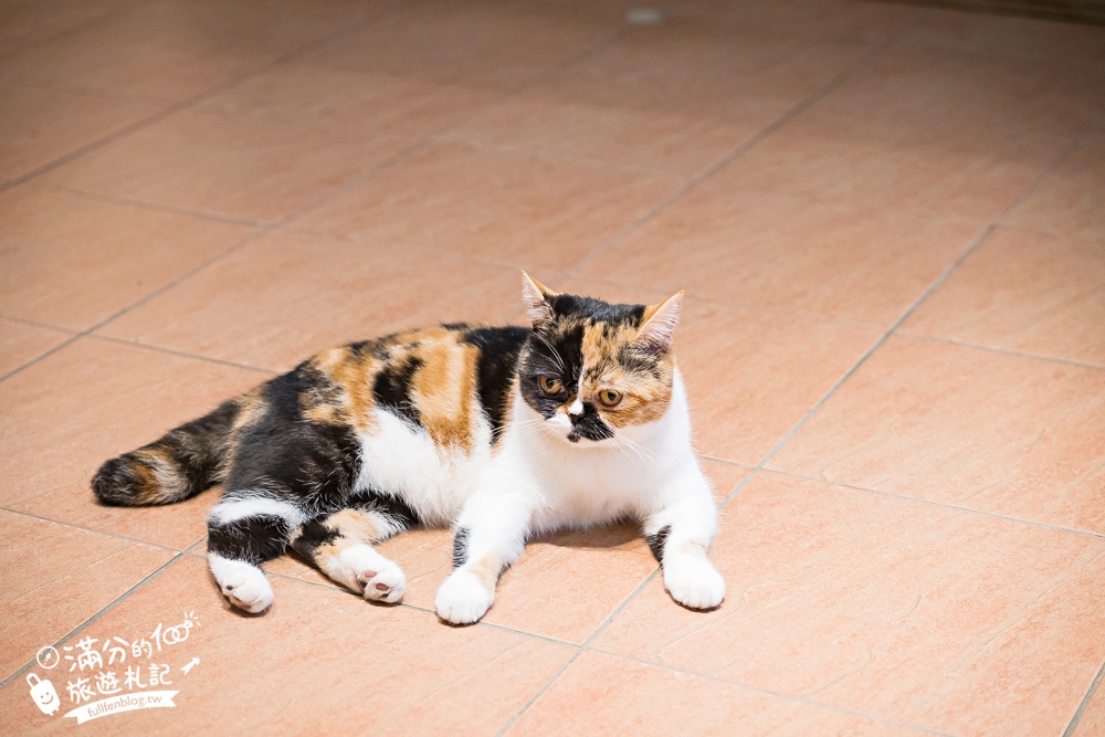 宜蘭【這浬咖啡文創所】隱身衝浪勝地的峇里島咖啡館.供應早午餐.Pizza.甜點和鬆餅,玩頭城也能有秒出國的FU