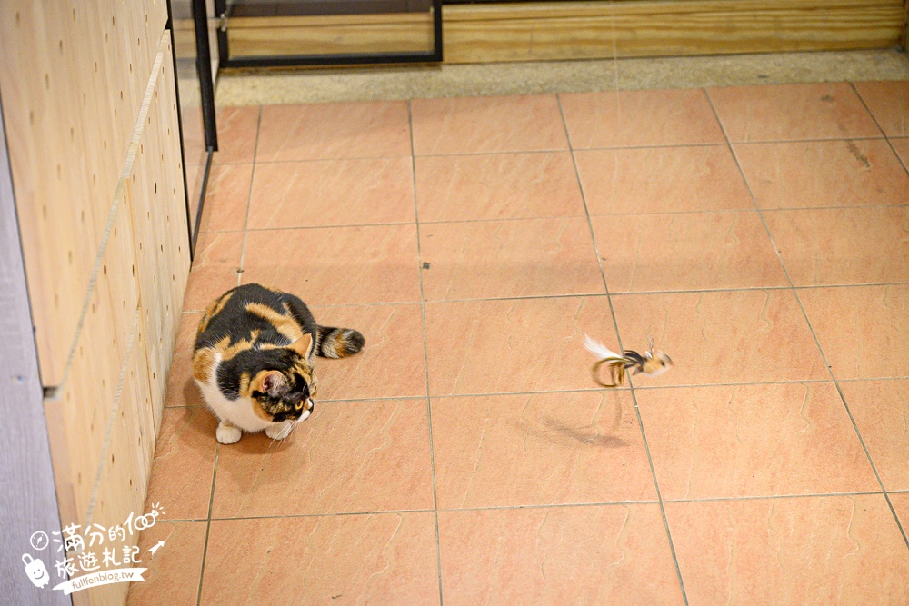 宜蘭【這浬咖啡文創所】隱身衝浪勝地的峇里島咖啡館.供應早午餐.Pizza.甜點和鬆餅,玩頭城也能有秒出國的FU