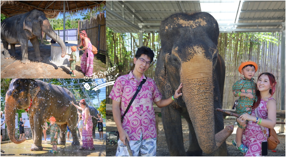 延伸閱讀：普吉島必玩【普吉島大象叢林保護區】來場與大象的溫柔相遇,幫大象洗澡戲水,餵大象吃香蕉.甘蔗和手作飯糰!