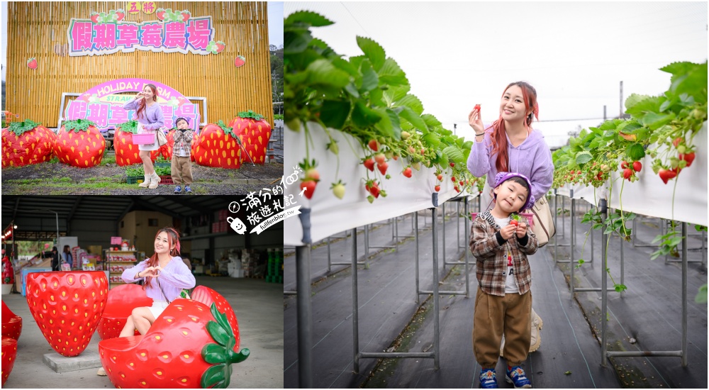 延伸閱讀：苗栗【五將假期草莓】大湖高架草莓園推薦.大顆紅寶石這裡吃,還有草莓王可以拍美照!