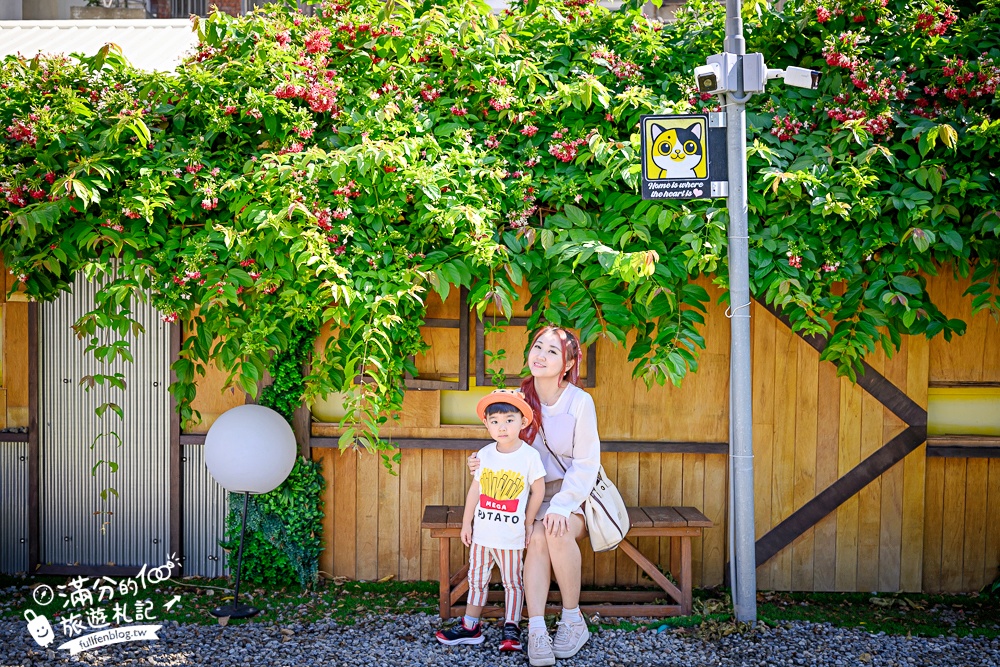 彰化【芊動彰化親子園區】在城市裡遇見一座童話村.三隻小豬.貓咪巴士和生動的彩繪大樓好好拍!